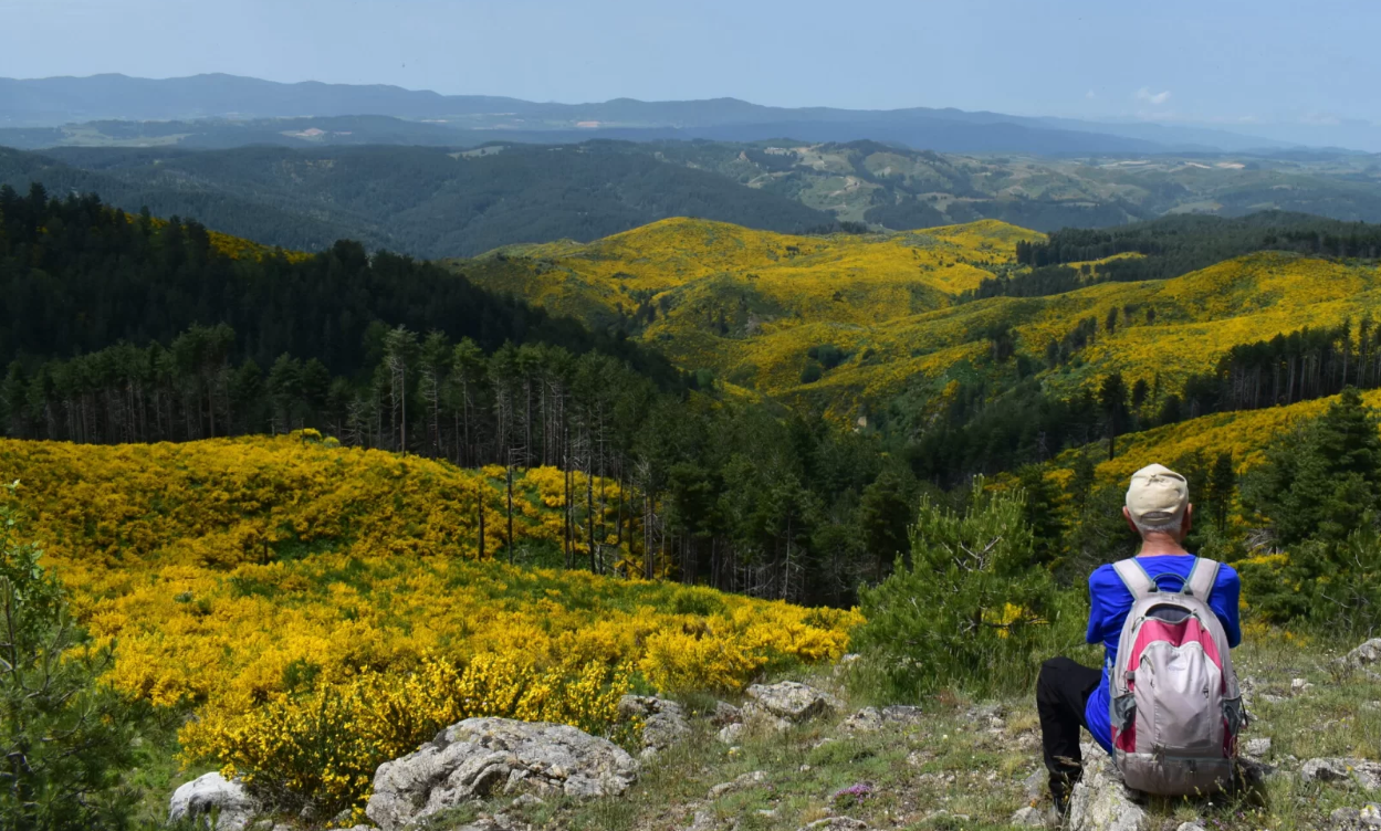 “Passeggiate ed escursioni in Calabria”: la nuova guida di Francesco Bevilacqua