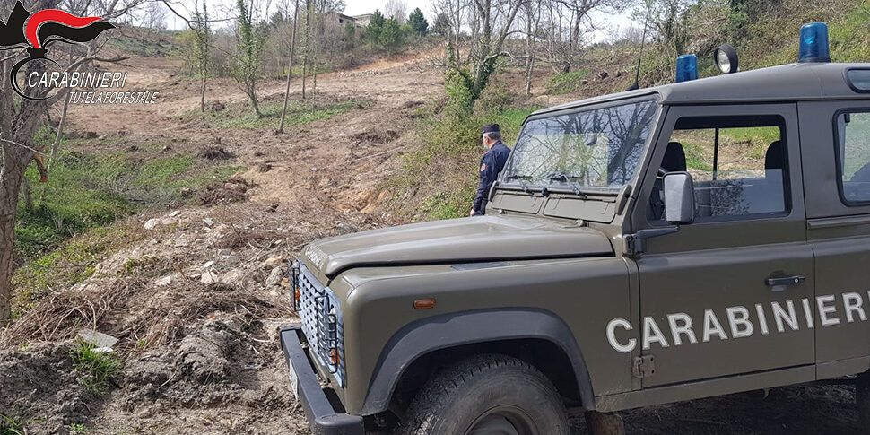 San Giovanni in Fiore, sequestrata un’area boschiva di 16mila mq interessata da lavori abusivi