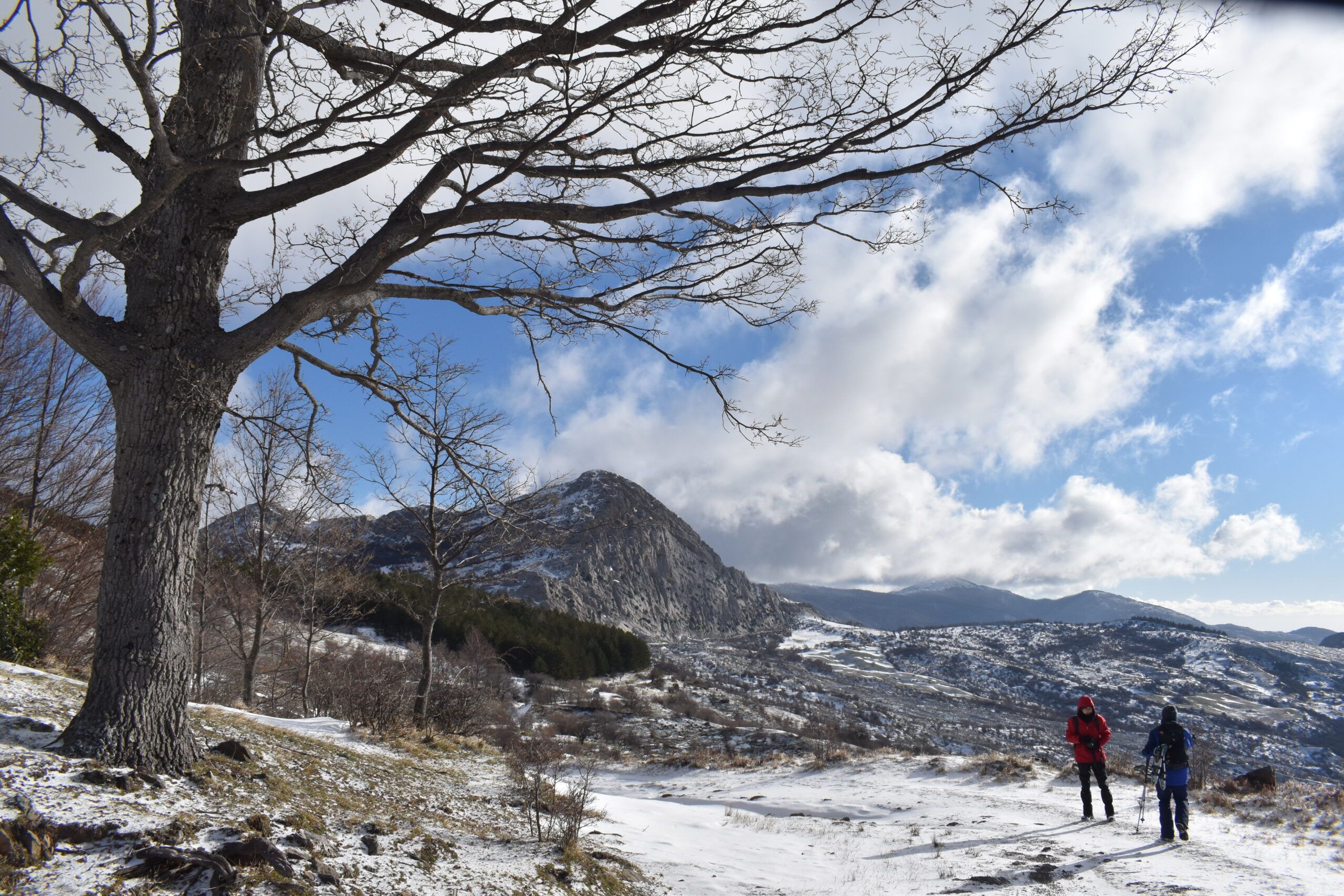 Le montagne dei presepi morenti: ossimori di Calabria