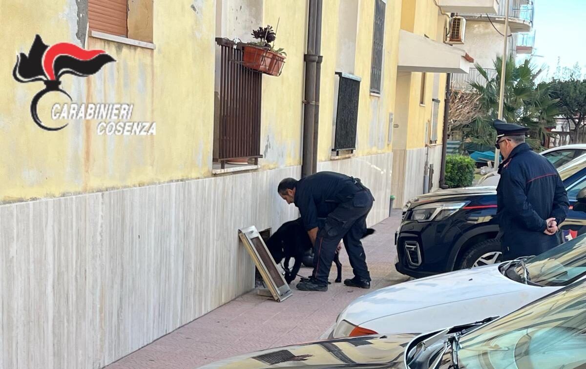 Controlli nelle case popolari nel Cosentino, irregolare anche quella del boss Francesco Muto