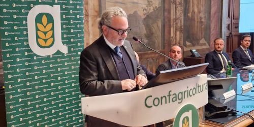 Statti_convegno_credito_MIMIT_Mediocredito