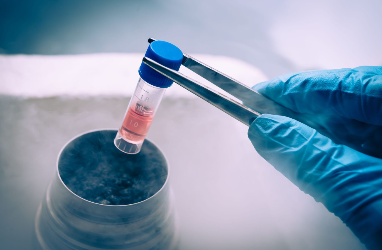 “Congelare” la vita: la proposta di Rosellina Madeo sul social freezing e il futuro della maternità