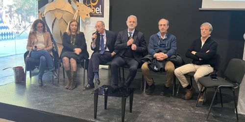 asp crotone brambilla