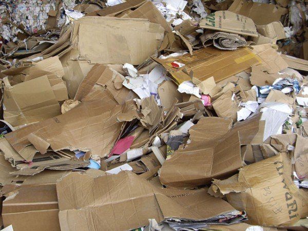 Aumenta la raccolta di carta in Calabria: +6,2% nel 2015
