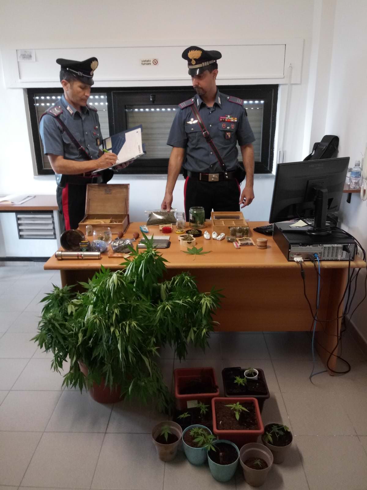 Coltivavano marijuana in una serra, quattro arresti nel Cosentino