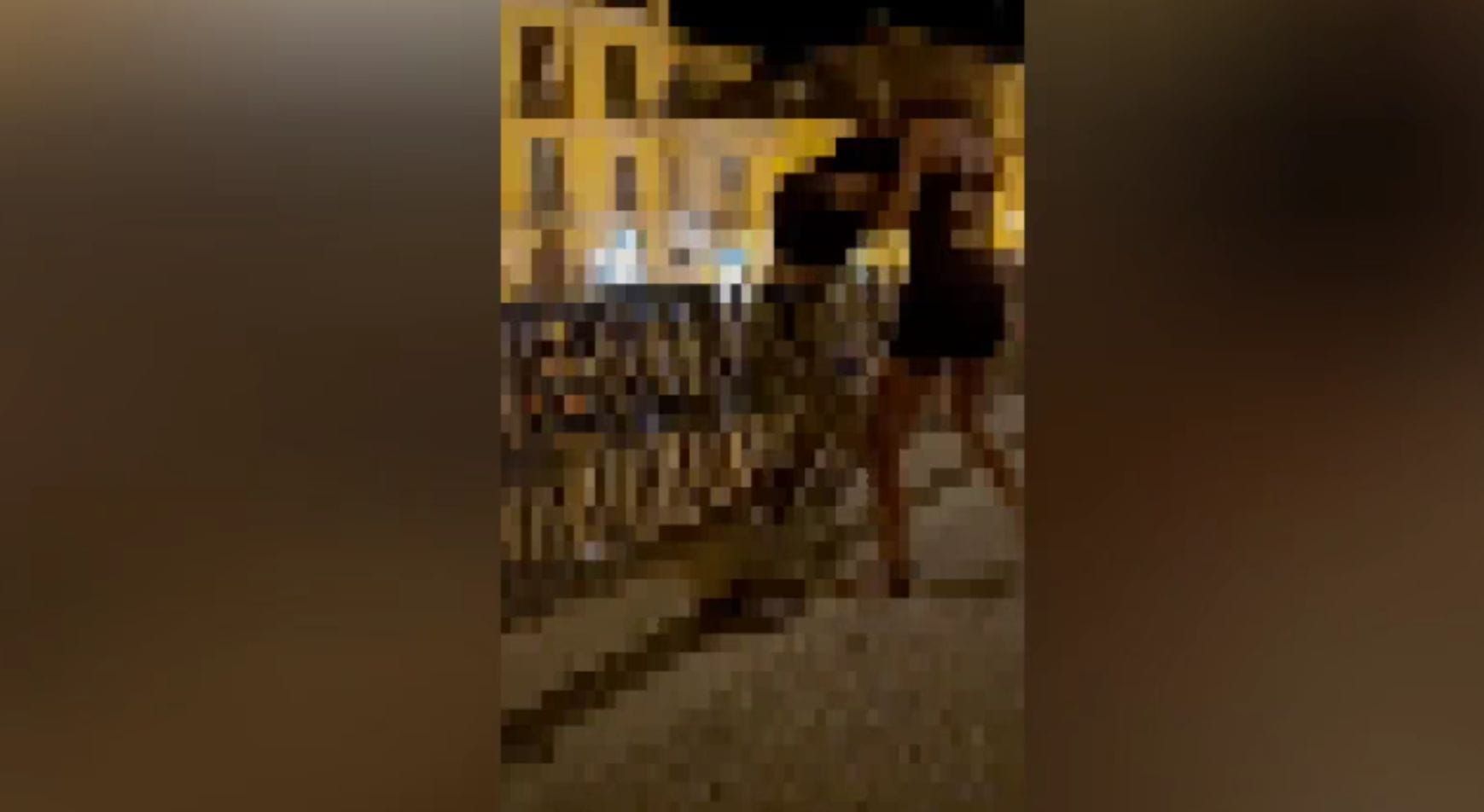 Rissa tra giovani a Lamezia, se si incita alla violenza anziché fermarla – VIDEO