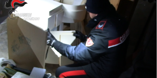 spaccio droga catanzarese