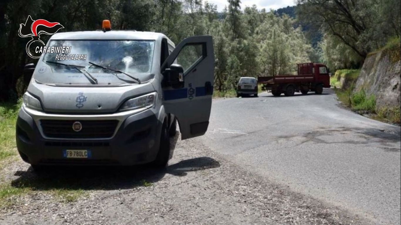 Operazione “Terramala”, scarcerati i fratelli Carmine e Domenico Alvaro