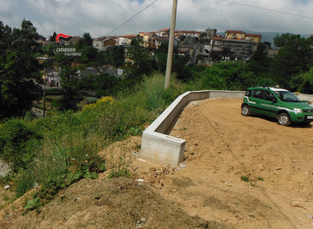 Platania, distruggono un bosco per realizzare lavori abusivi