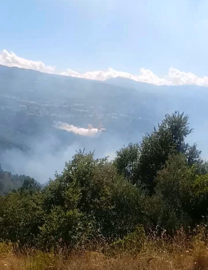 Ultima domenica di luglio, Calabria Verde contrasta 40 incendi
