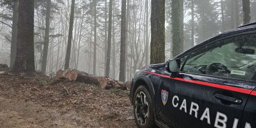 carabinieri forestale serra san bruno