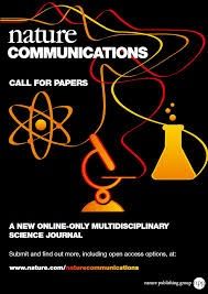 I linfonodi per combattere il tumore