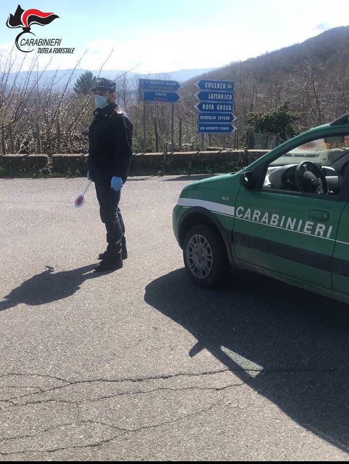 Coronavirus, in giro a Lattarico senza autocertificazione: 4 denunce