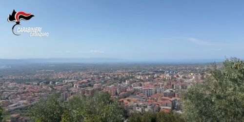 cortale_taglio_boschi
