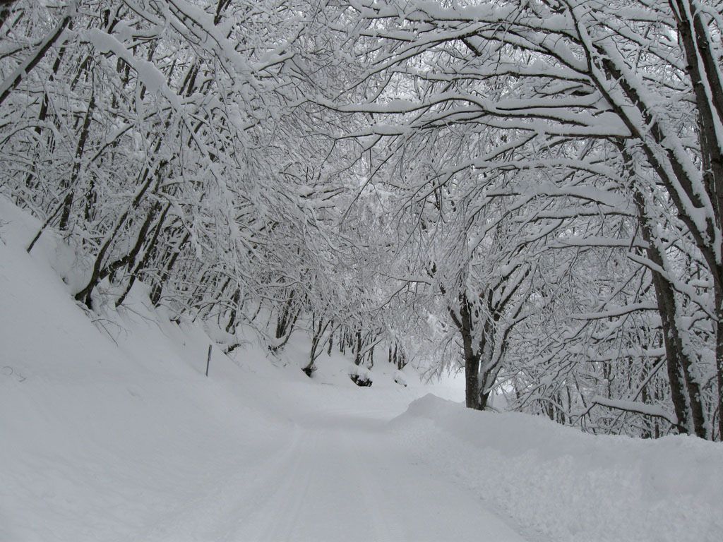 Imperversa il Burian, freddo e gelo in Calabria