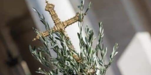 Oggi è la Domenica delle Palme, anche in Calabria iniziano i riti della Settimana Santa