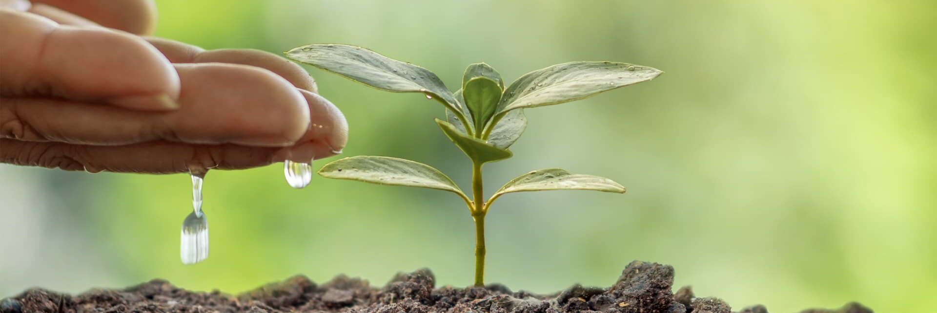 Sostenibilità ambientale, Confagricoltura “premia” le imprese virtuose