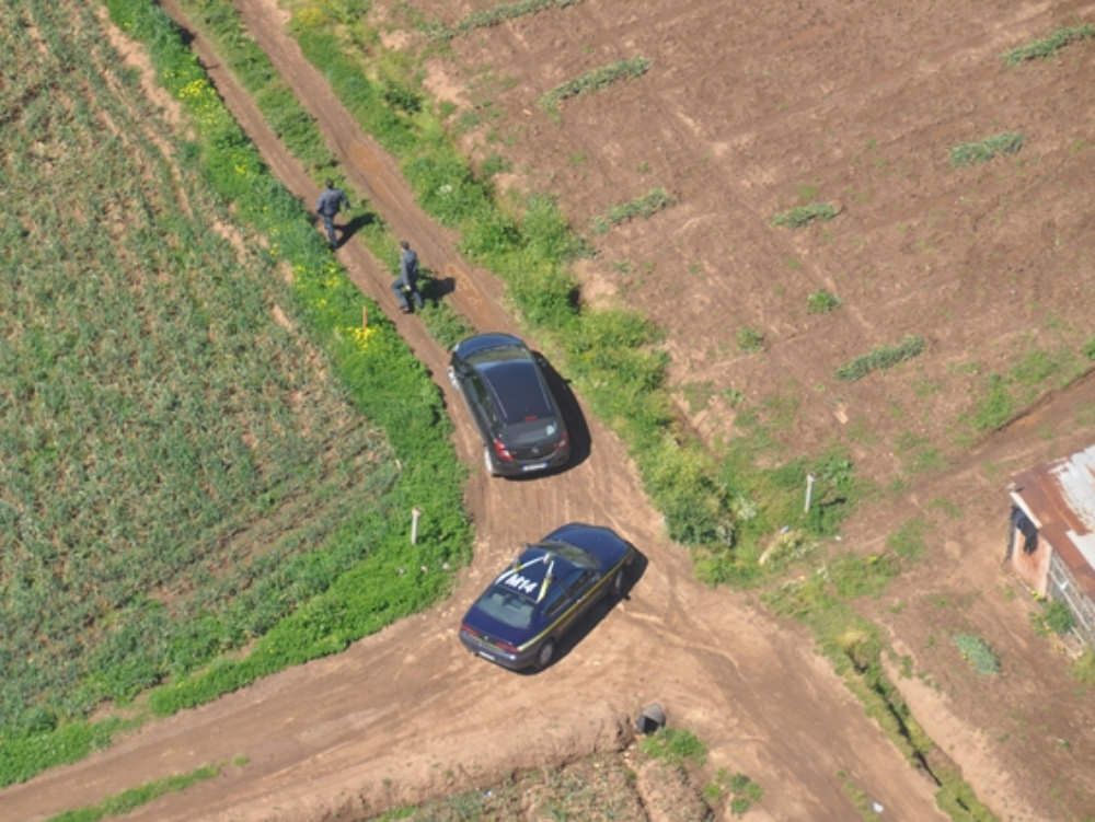 Falsi braccianti, la Gdf scopre maxitruffa all`Inps