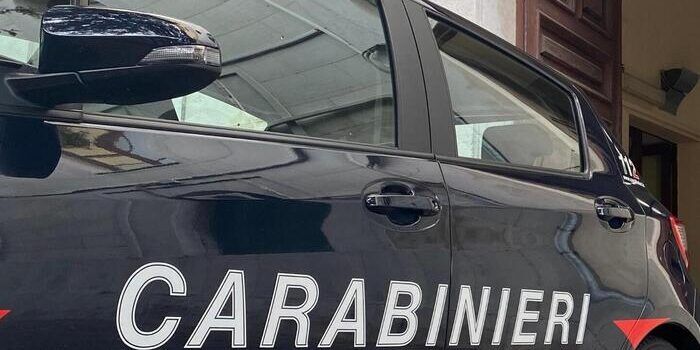 Sequestrati 36 chilogrammi di prodotti ittici a un commerciante ambulante del Crotonese