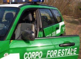 Cosenza, cinque arresti per gestione illecita di rifiuti pericolosi
