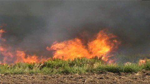 Anziano muore per ripulire il suo terreno dalle sterpaglie