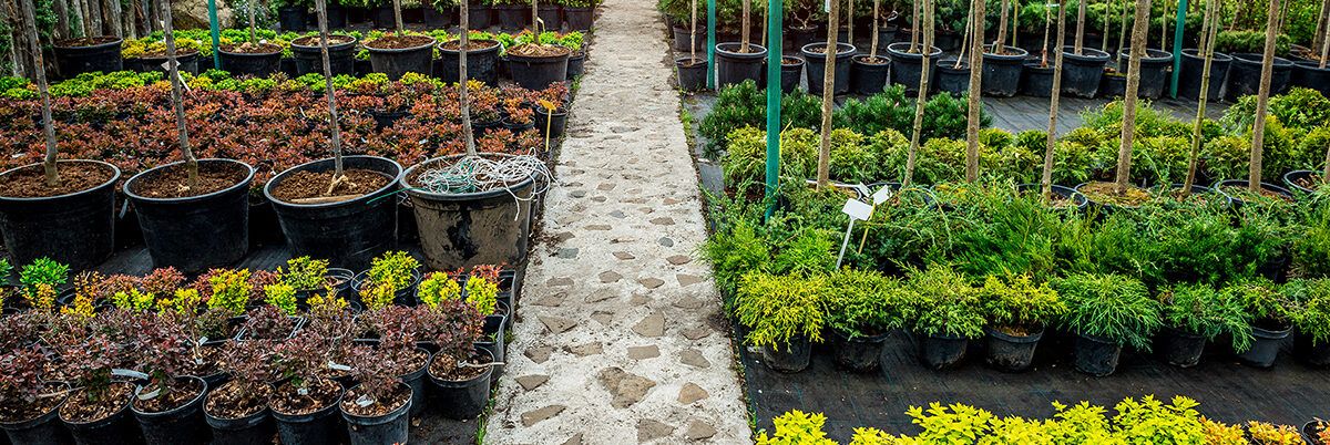 Contributo sulla plastica, Confagricoltura: «Bene la proroga a marzo»