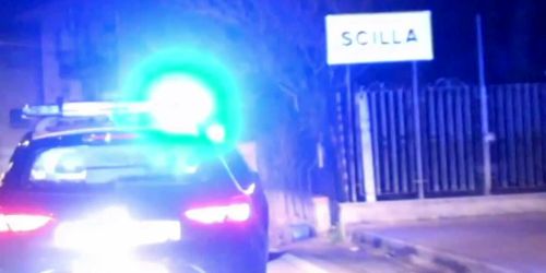 Lampetra droga scilla sicilia