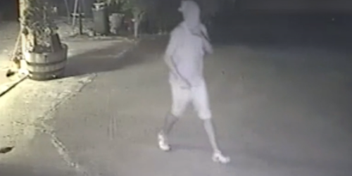 aggressione-Briatico