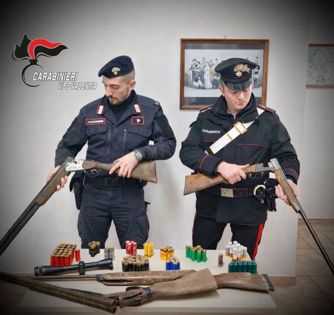 Armi e munizioni nascoste sottoterra, un arresto nel Vibonese