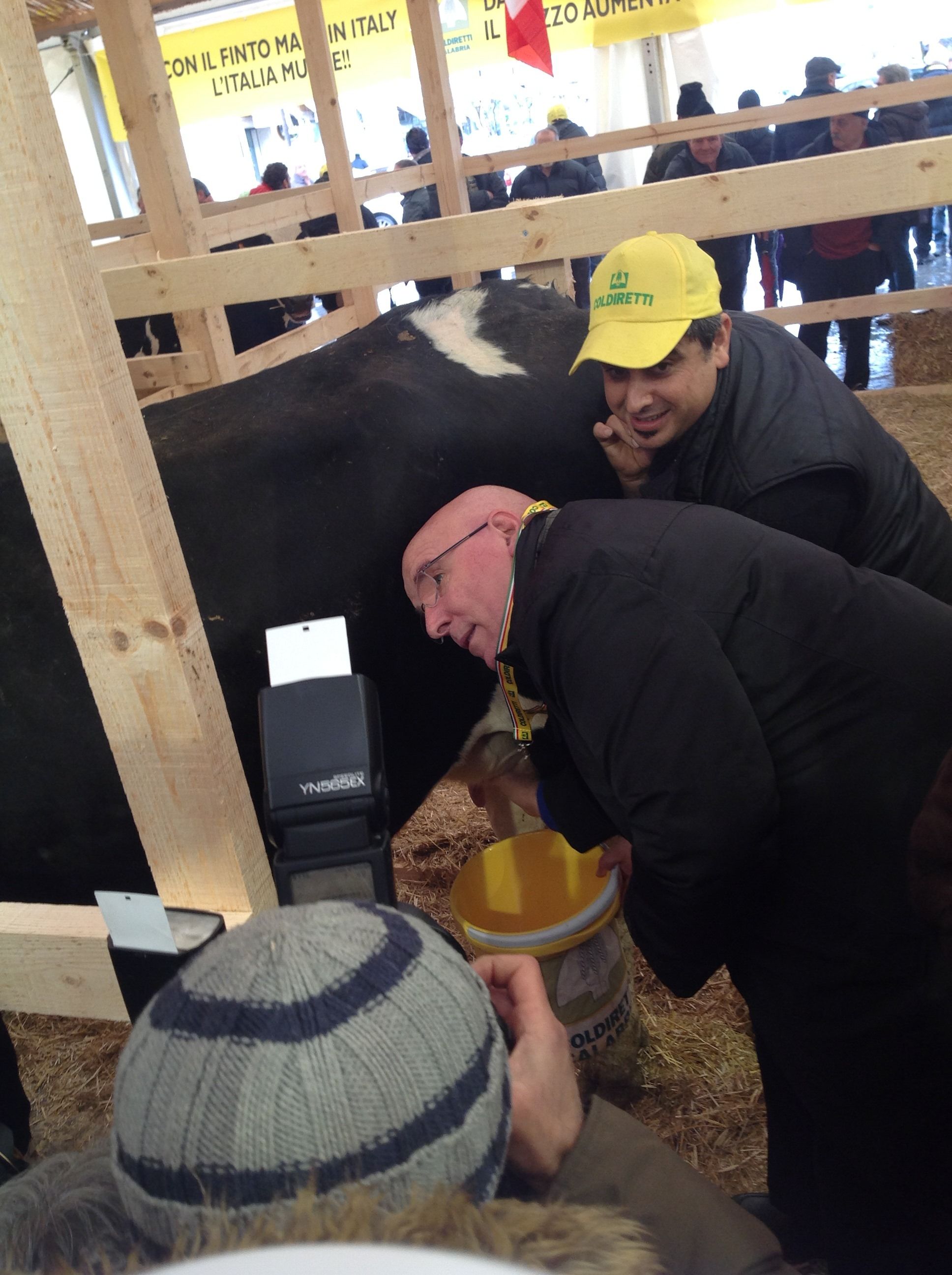 Cosenza, tanti politici alla mungitura pubblica