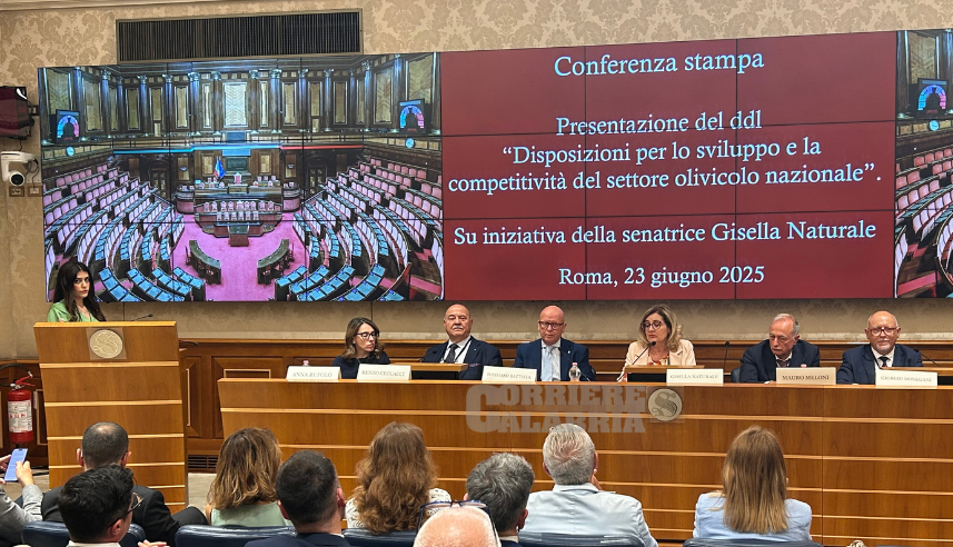 «Urge sostegno per il settore olivicolo». Presentato il Ddl in difesa dell’oro verde