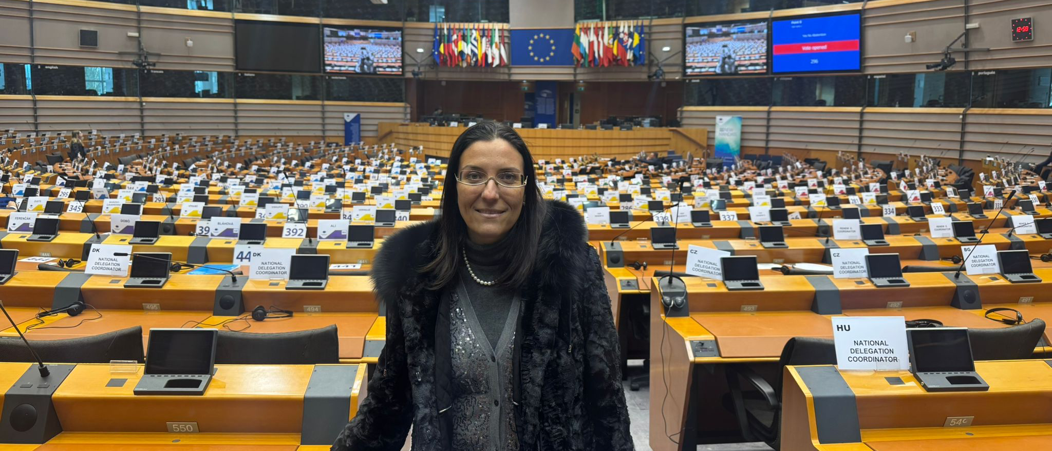 Giusy Caminiti a Bruxelles. «L’Europa valuti l’impatto del Ponte sullo Stretto»