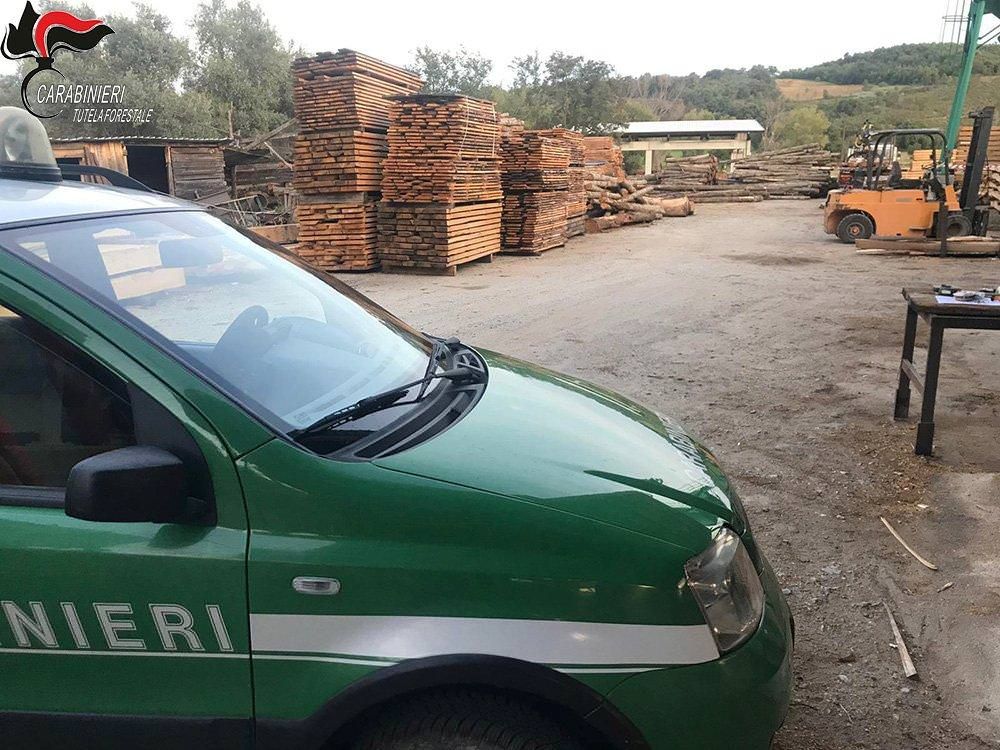 Scoperta e sequestrata segheria abusiva a Montalto, titolare denunciato
