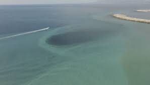 «La Regione effettui le analisi sui fondali di Gioia»