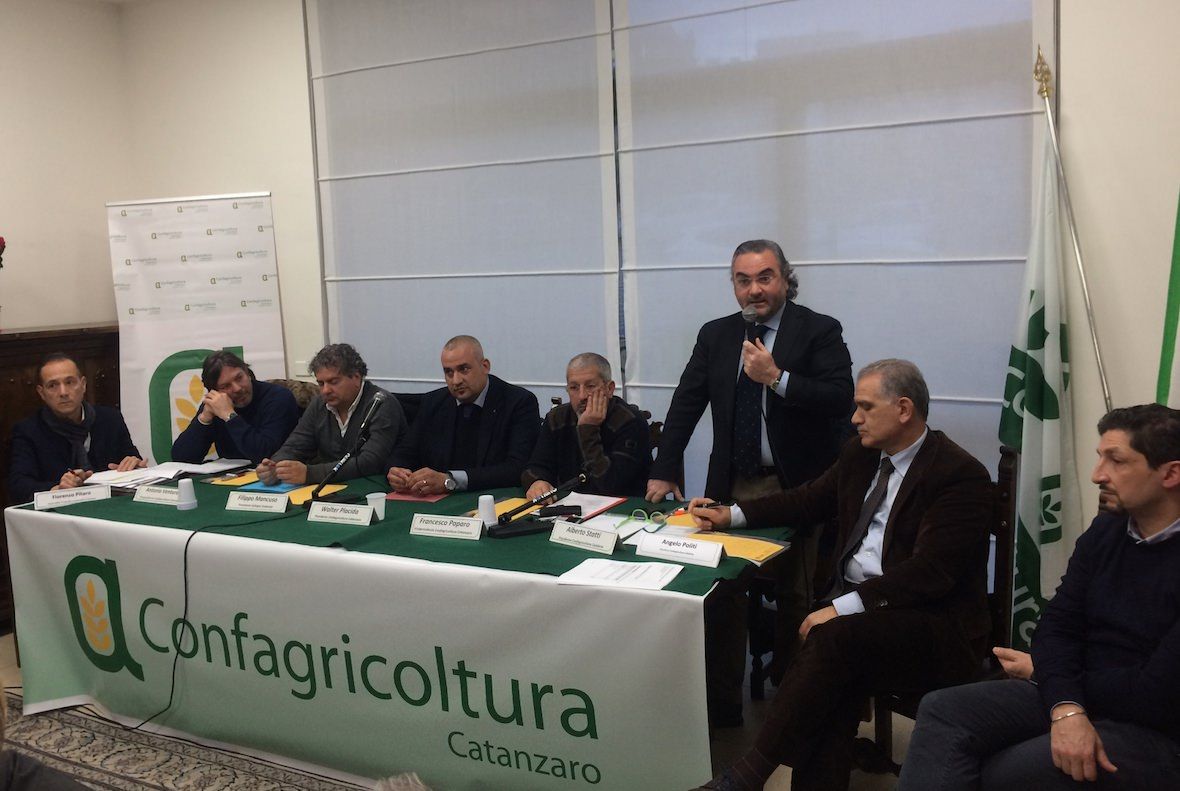 Placida rieletto presidente di Confagricoltura Catanzaro