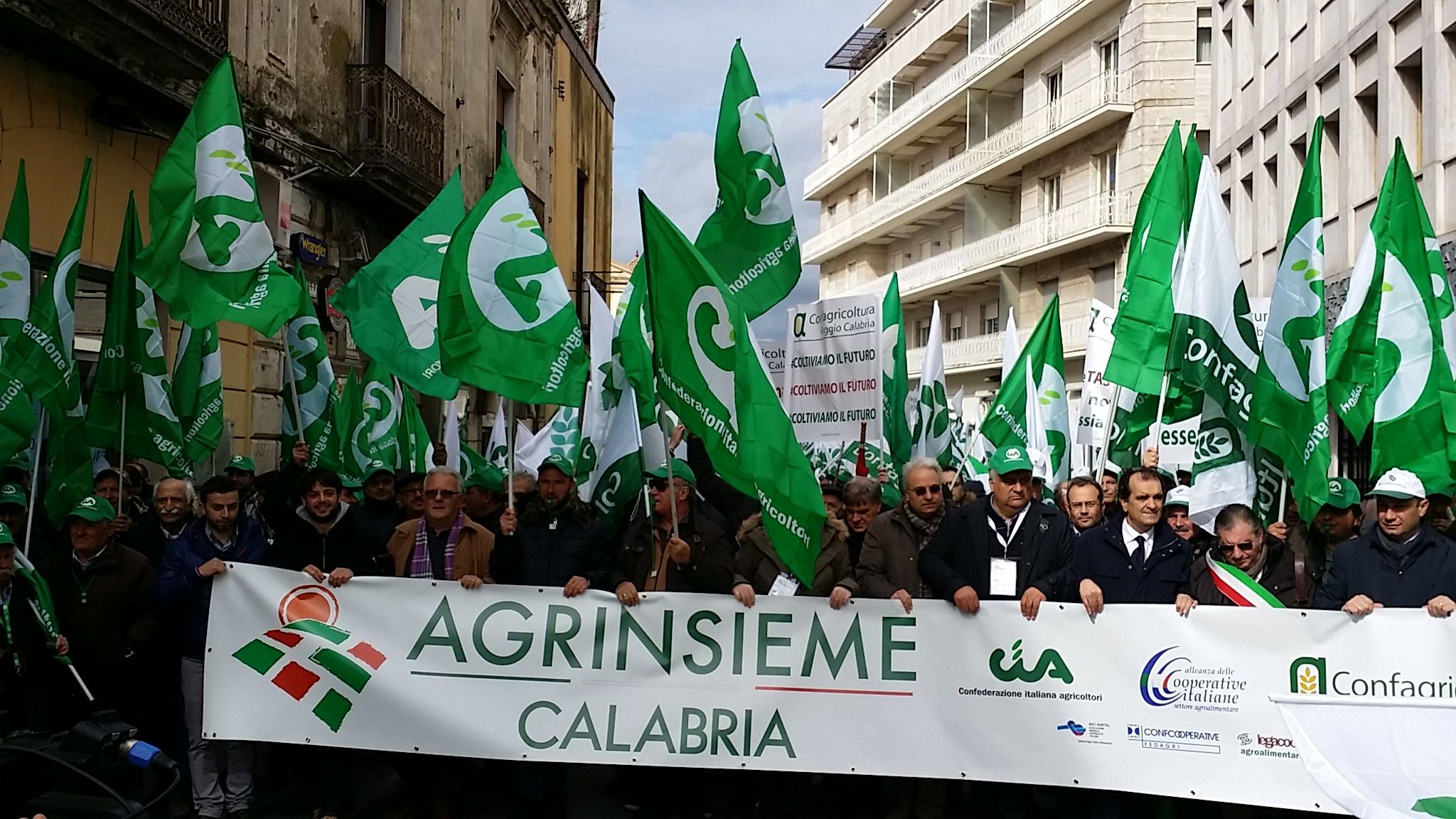 Crisi Olivicoltura, Agrinsieme scende in piazza