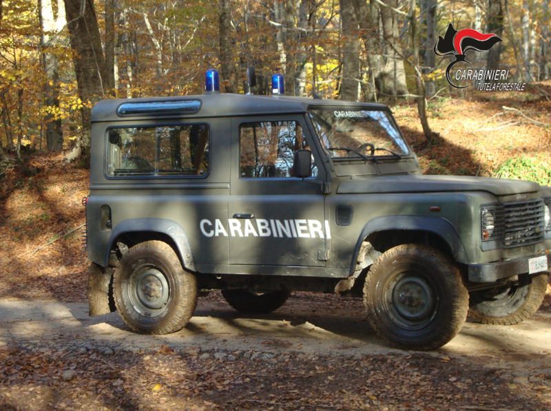 Con le armi nel Parco delle Serre, sequestrati tre fucili da caccia e munizioni