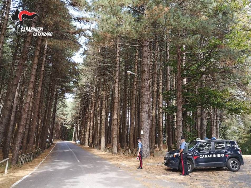 Marijuana nascosta nella stalla, arrestato a Girifalco
