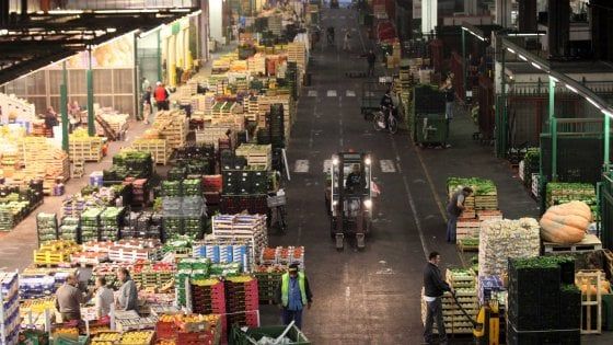 ‘Ndrangheta, revocato il commissariamento di una società dell’Ortomercato