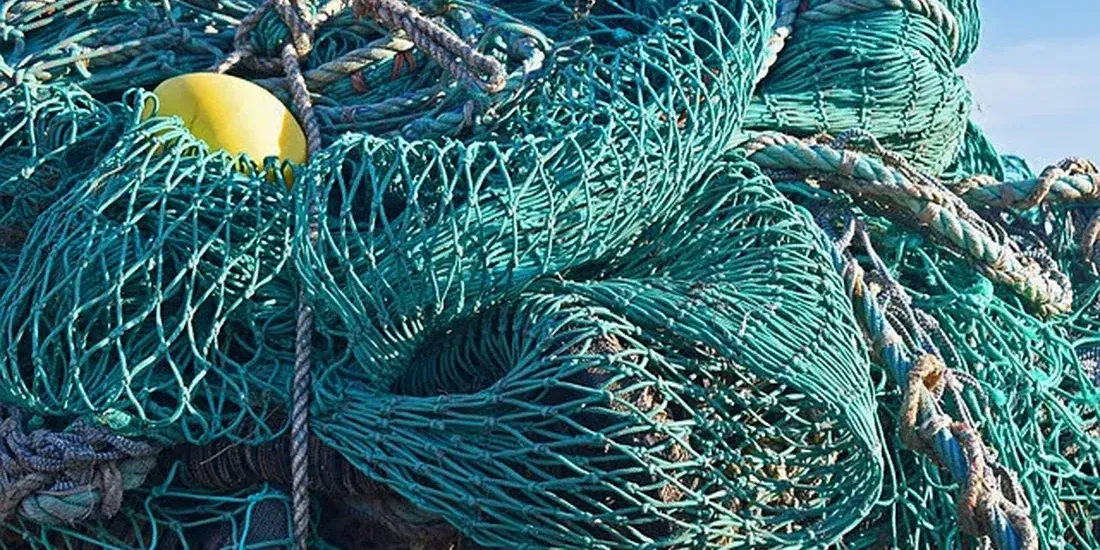 Pesca, la Regione investe sui giovani: 400 mila euro per nuove imprese e ricambio generazionale
