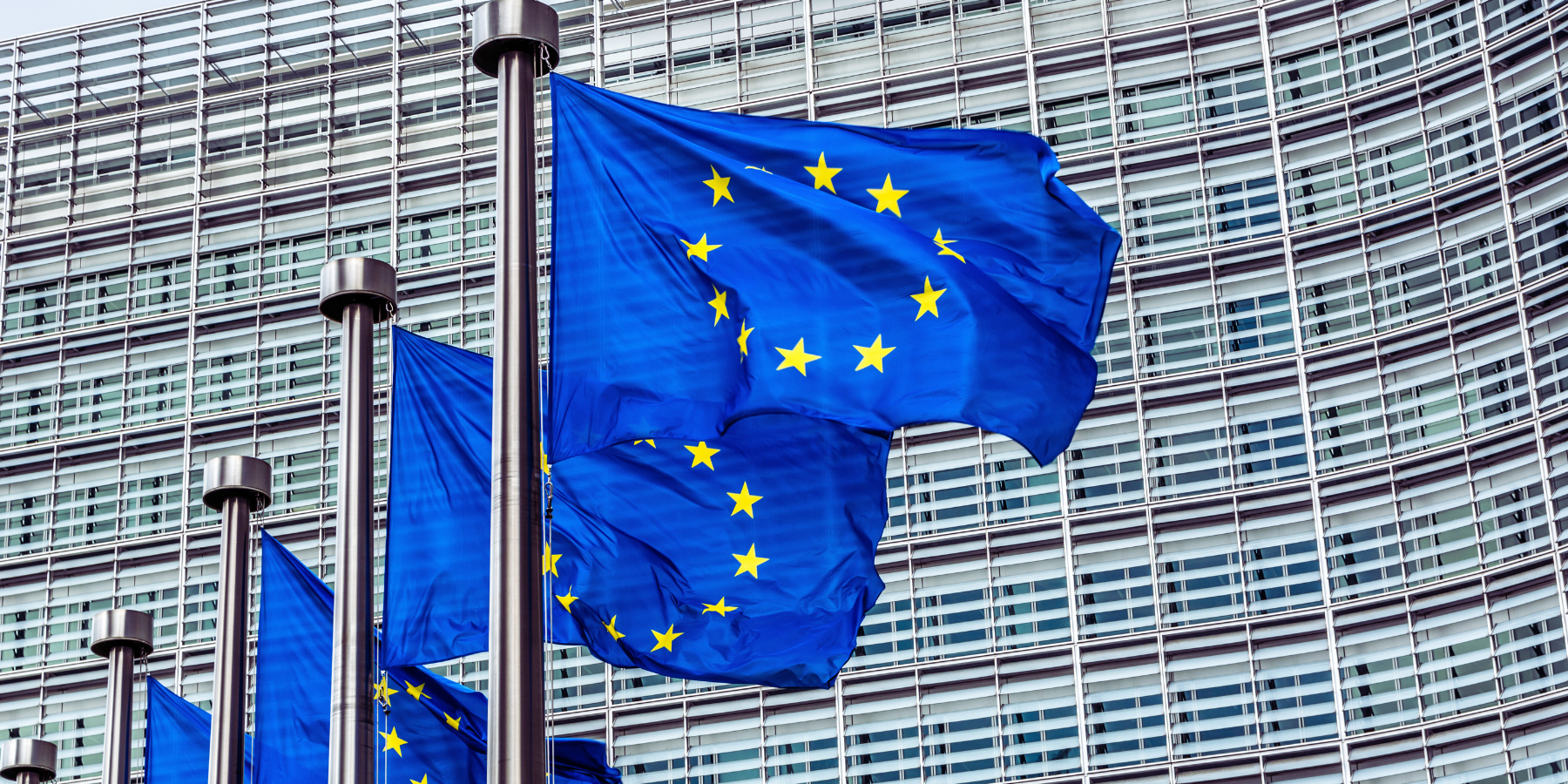 La pace è più preziosa del trionfo