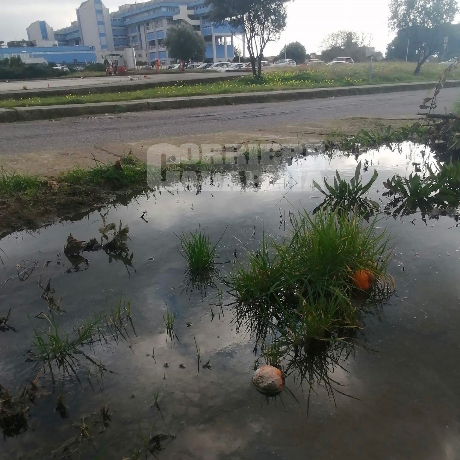 Campo rom ed emergenza liquami all’ospedale di Lamezia. Ma l’ordinanza del Comune arriva tre mesi dopo