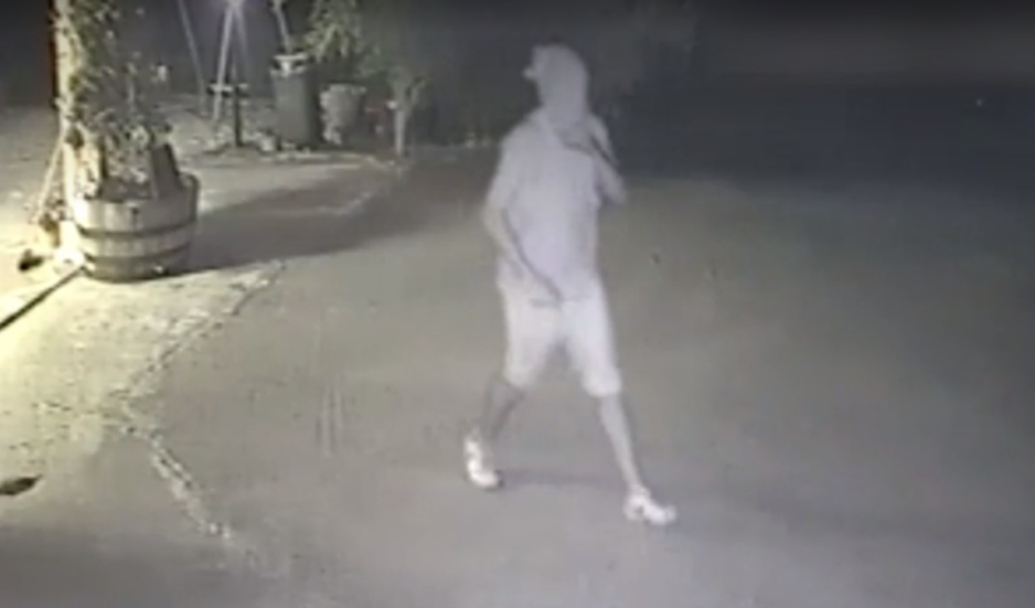 Anziana aggredita e pestata per una rapina a Briatico, condannato un 24enne