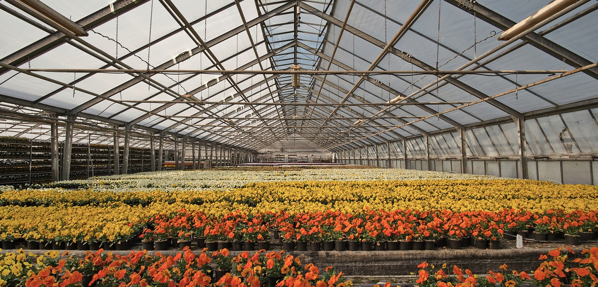 Operai agricoli e florovivaisti di Reggio, c’è l’accordo per il rinnovo del contratto provinciale