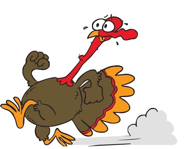 «Il Domenicale nasce la domenica»