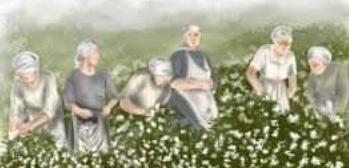 Le mamme di gelsomino (buon primo maggio)