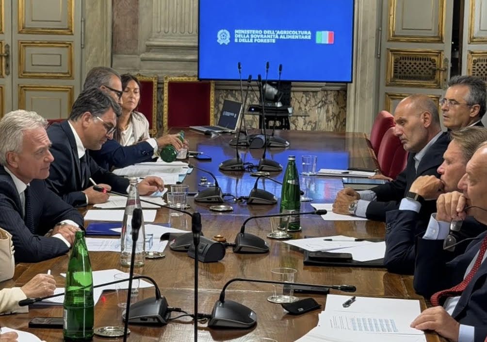 Olio d’oliva, emergenza liquidità nei frantoi del Sud: al via la strategia comune Ministero-Regioni