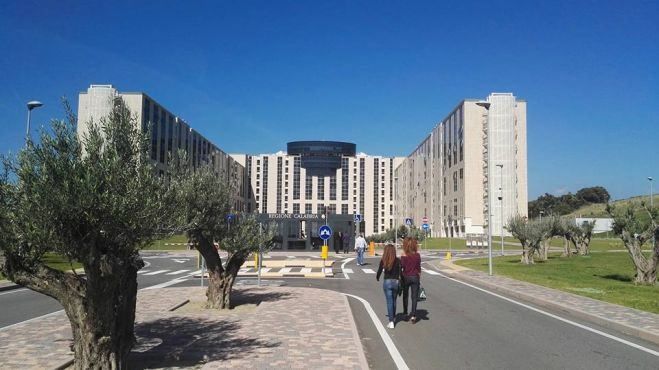 Alla Cittadella la vetrina di "Fieragricola"