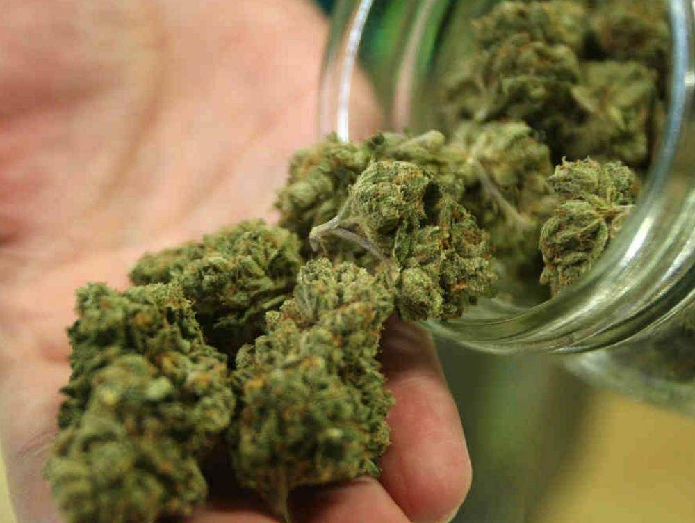 Piantagione di marijuana in casa, arrestata una coppia