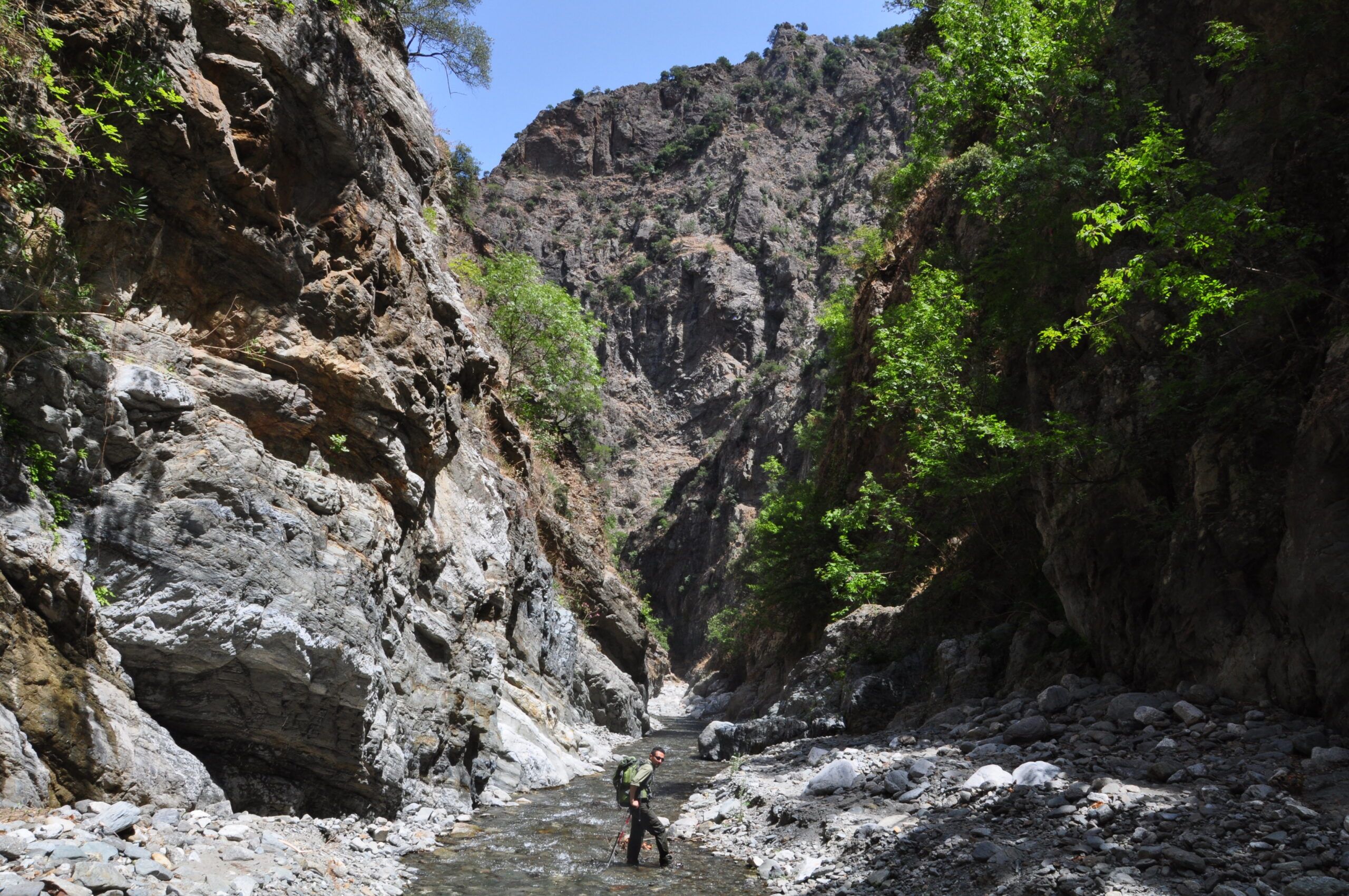 Le lezioni della natura, che l’uomo non ascolta
